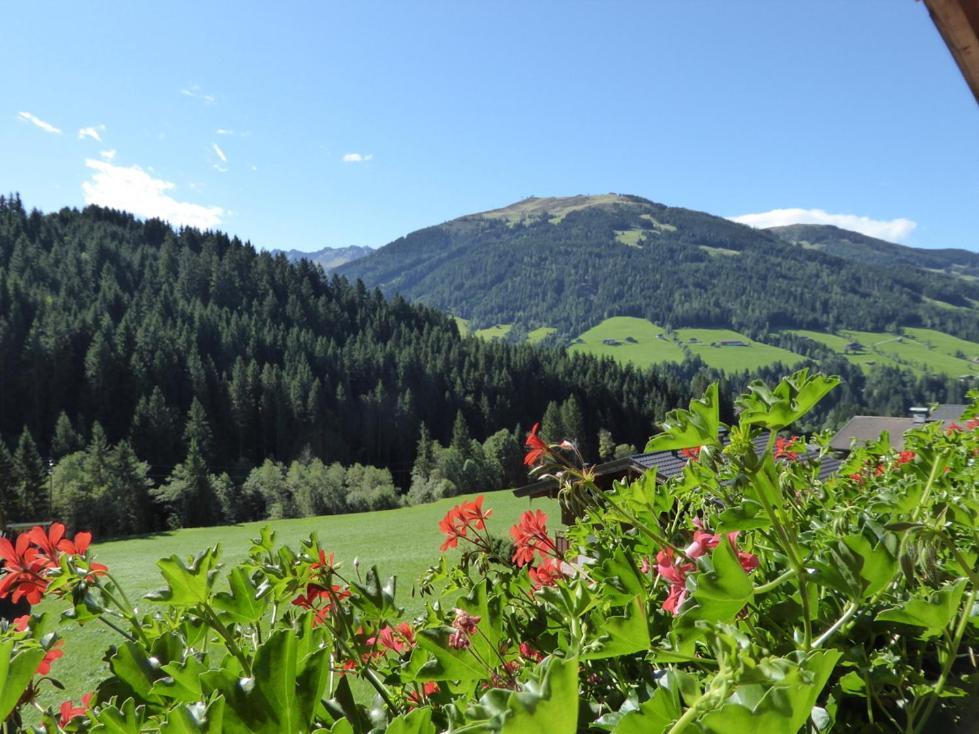 Alpbacher Appartementhaus Johannes Esterno foto